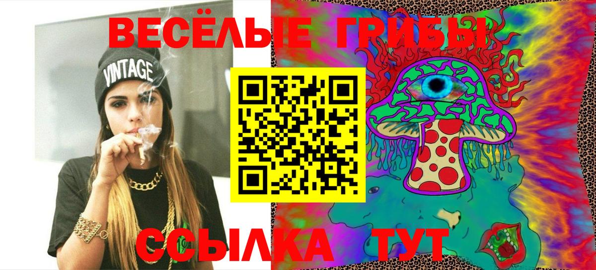 Керчь  Псилоцибиновые грибы мухоморы  Вход с VPN  Псилоцибиновые грибы мицелий 